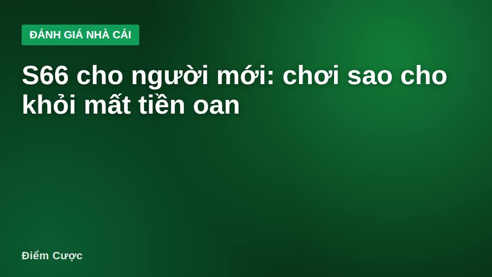S66 cho người mới: chơi sao cho khỏi mất tiền oan